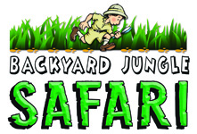 Backyard Jungle Safari