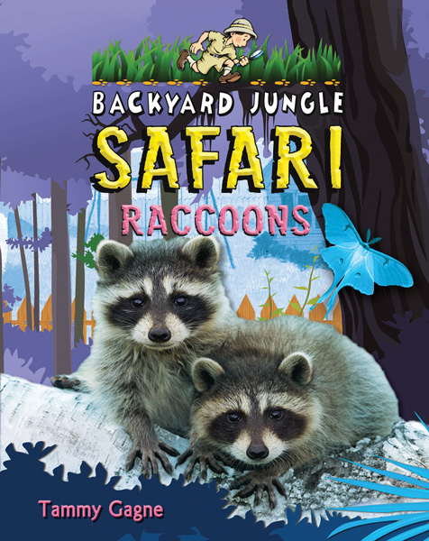 Racoons